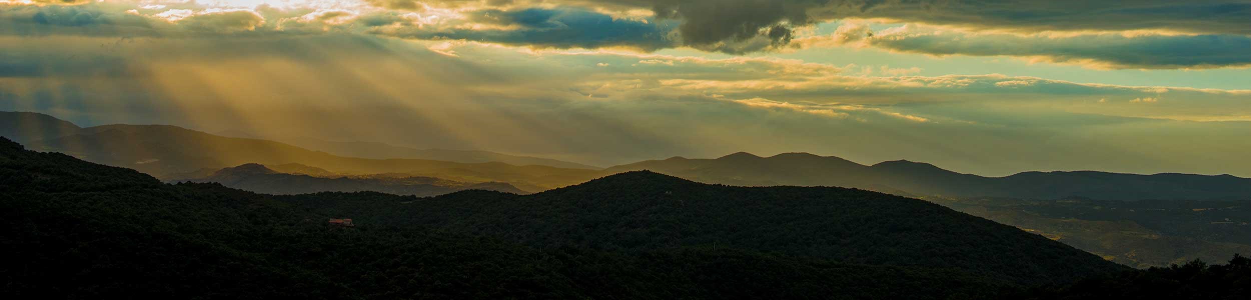 caias_005